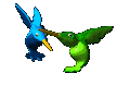from Hummingbirds to Harriers!