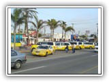 rosarito_beach_taxis